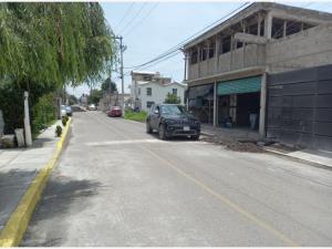 Terreno en venta en Santa Elena, San Mateo Atenco — foto 2 de 3