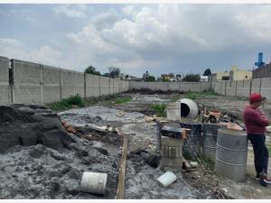 Terreno en venta en Santa Elena, San Mateo Atenco — foto 3 de 3