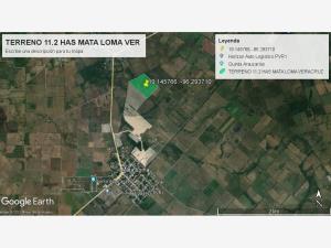 Terreno en venta en Mata Loma, Manlio Fabio Altamirano — foto 2 de 10