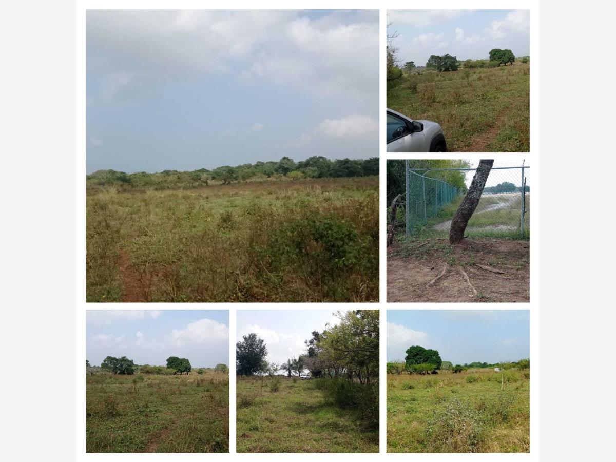 Terreno en venta en Mata Loma, Manlio Fabio Altamirano — foto 1 de 10