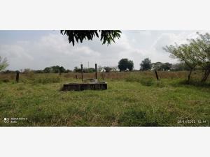 Terreno en venta en Mata Loma, Manlio Fabio Altamirano — foto 3 de 10