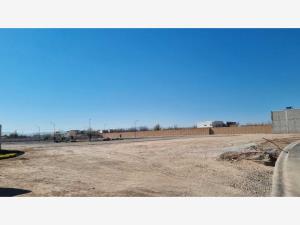 Terreno en venta en Ejido Ana, Torreón — foto 3 de 11