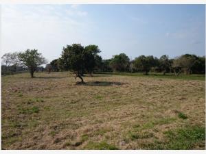 Terreno en venta en Santa Guillermina, Tlalixcoyan — foto 2 de 4