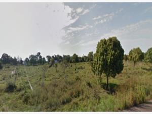 Terreno en venta en Santa Guillermina, Tlalixcoyan — foto 3 de 4