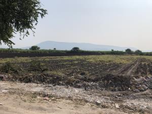 Terreno en venta en Álamos (La Frontera), Jojutla — foto 3 de 6