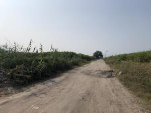 Terreno en venta en Álamos (La Frontera), Jojutla — foto 2 de 6