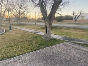 Terreno en venta en Las Villas, Torreón — foto 3 de 7