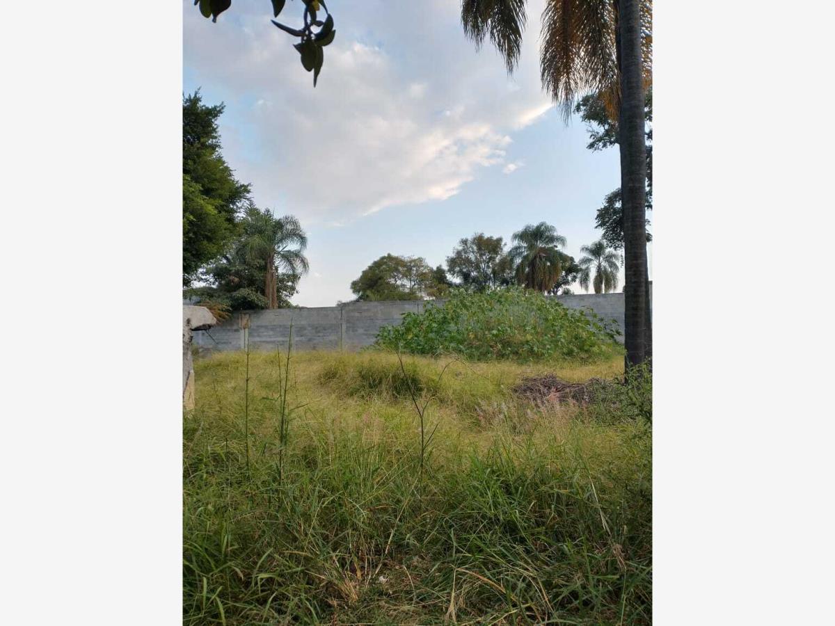 Terreno en venta en Delicias, Cuernavaca — foto 1 de 4