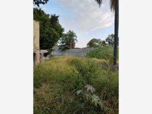 Terreno en venta en Delicias, Cuernavaca — foto 3 de 4