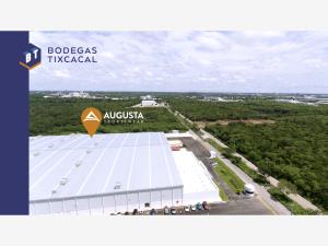Terreno en venta en Tixcacal, Mérida — foto 3 de 16