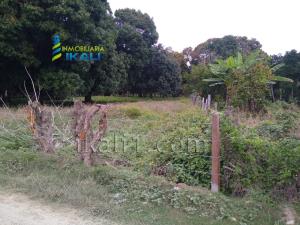 Terreno en venta en Higueral, Tuxpan — foto 2 de 12