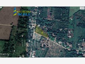 Terreno en venta en Higueral, Tuxpan — foto 3 de 12