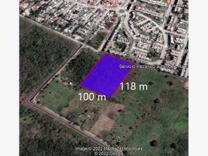 Terreno en venta en Mata de Pita, Veracruz, Veracruz de Ignacio de la Llave