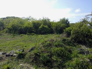 Terreno en venta en Mata de Pita, Veracruz — foto 2 de 4