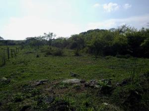Terreno en venta en Mata de Pita, Veracruz — foto 3 de 4