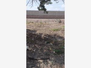 Terreno en venta en Las Trojes, Torreón, Coahuila de Zaragoza Terreno en venta en Las Trojes, Torreón, Coahuila de Zaragoza