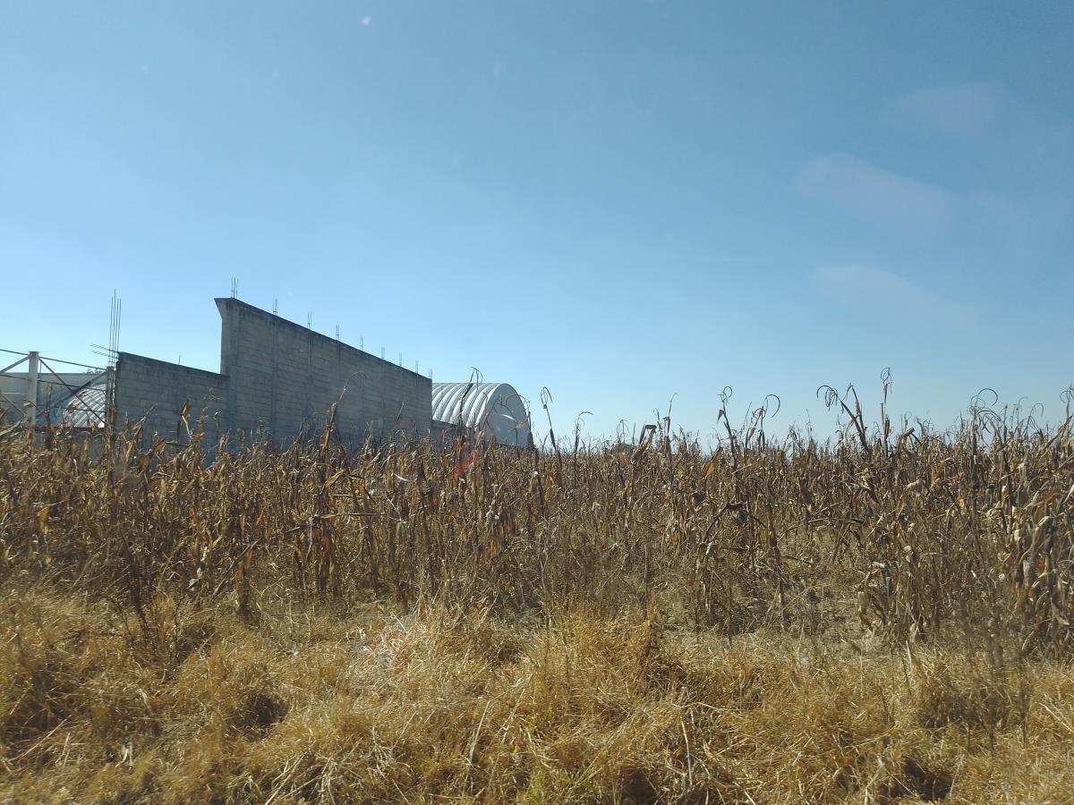 Terreno en venta en La Constitucion Totoltepec, Toluca — foto 1 de 4