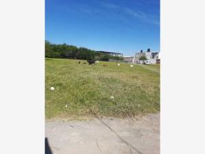 Terreno en venta en Los Arrozales, Jojutla — foto 3 de 8