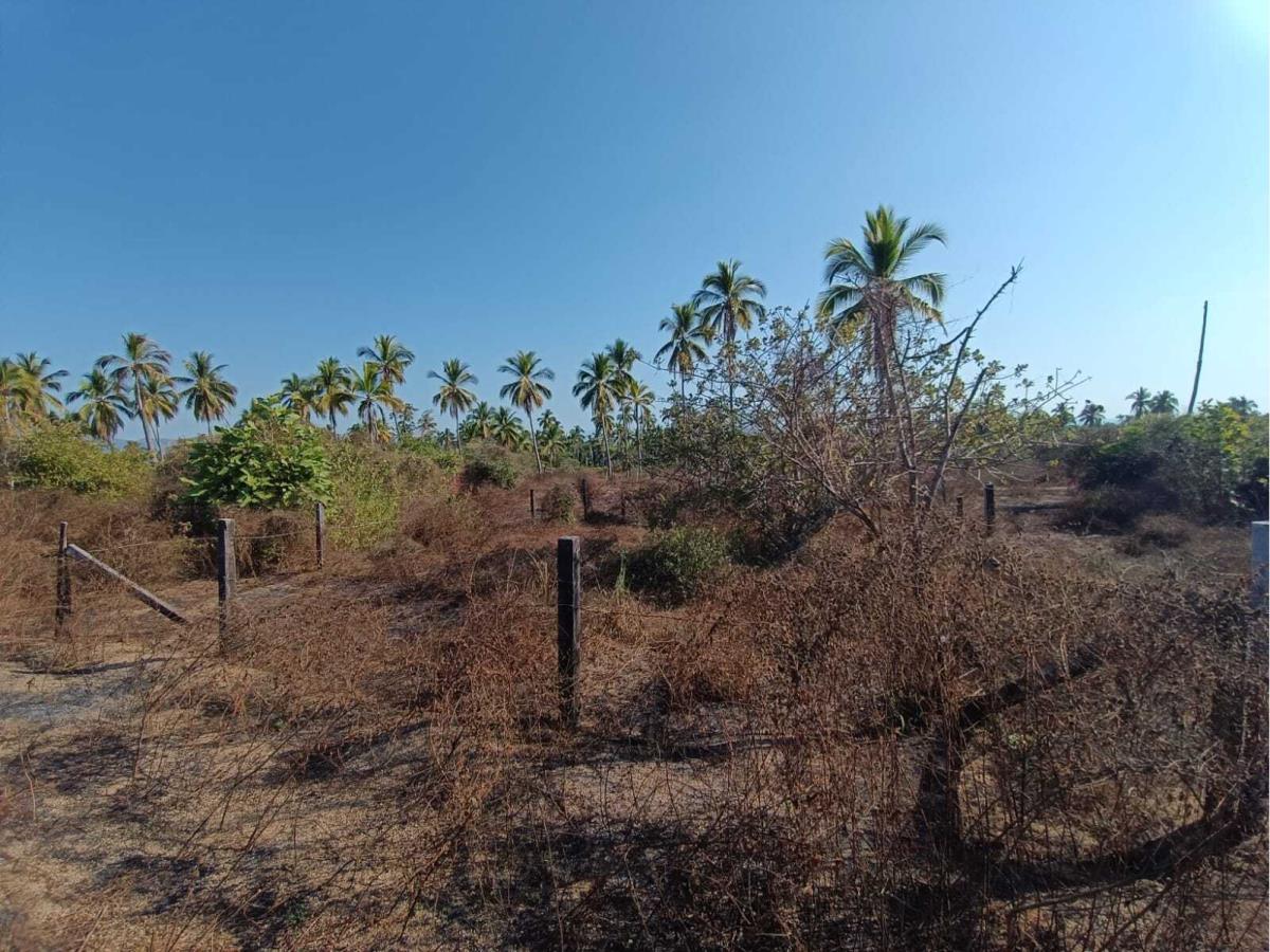 Terreno en venta en Barra de Potosí, Petatlán — foto 1 de 6
