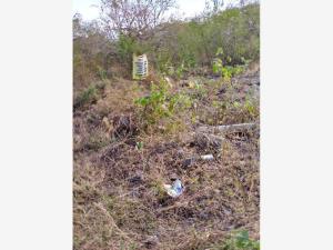 Terreno en venta en Miguel Hidalgo (los Cuartos), Yautepec — foto 2 de 7