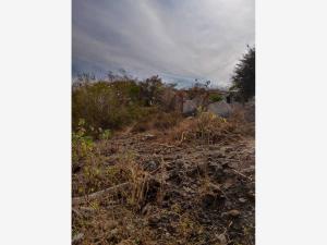 Terreno en venta en Miguel Hidalgo (los Cuartos), Yautepec — foto 3 de 7