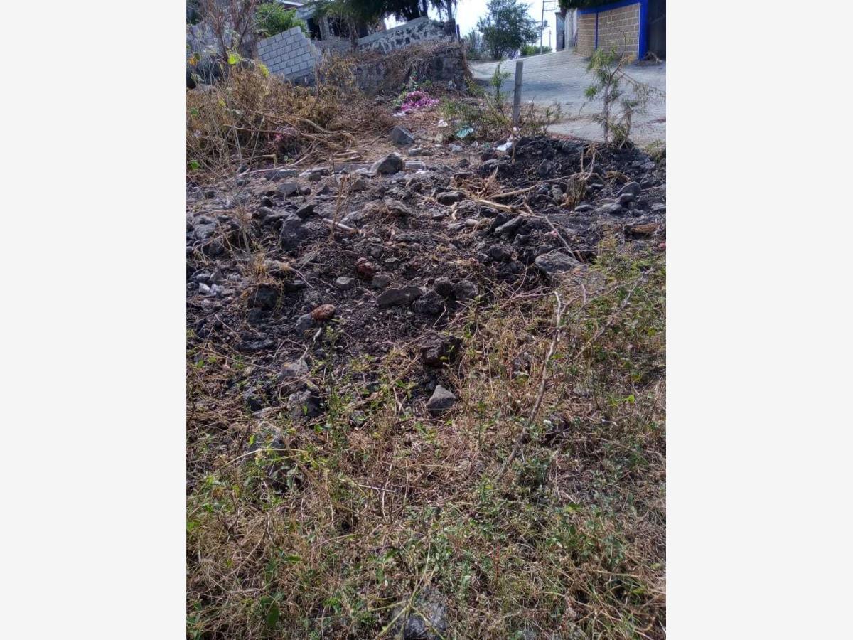 Terreno en venta en Miguel Hidalgo (los Cuartos), Yautepec — foto 1 de 7
