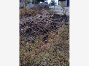 Terreno en venta en Miguel Hidalgo (los Cuartos), Yautepec, Morelos