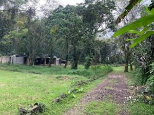 Terreno en venta en Mariano Escobedo, Coatepec — foto 2 de 12