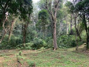 Terreno en venta en Mariano Escobedo, Coatepec — foto 3 de 12