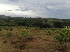 Terreno en venta en El Chico, Emiliano Zapata — foto 2 de 6