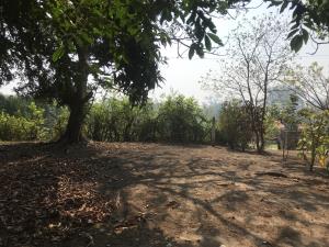 Terreno en venta en Paso Colorado, Boca del Río — foto 2 de 4
