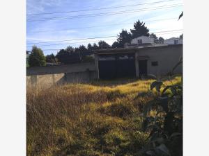 Terreno en venta en Santiago Tianguistenco de Galeana, Tianguistenco — foto 2 de 7