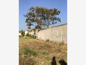Terreno en venta en Papayos, Cuernavaca — foto 2 de 3