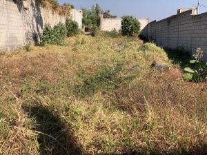 Terreno en venta en Papayos, Cuernavaca — foto 3 de 3