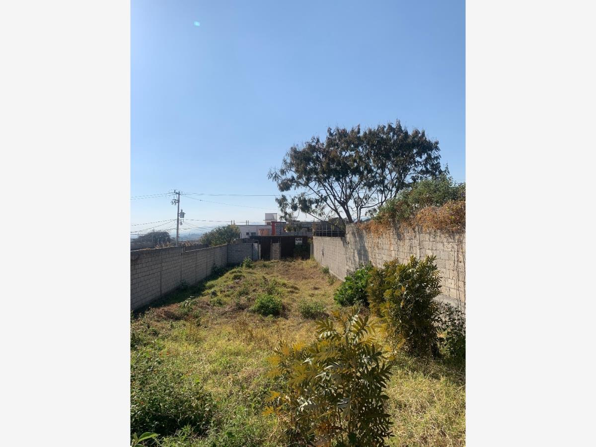 Terreno en venta en Papayos, Cuernavaca — foto 1 de 3
