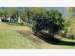 Terreno en venta en San Javier, Allende — foto 3 de 11