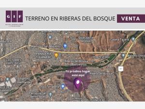 Terreno en venta en Natura Sección Bosques, Tijuana — foto 3 de 3