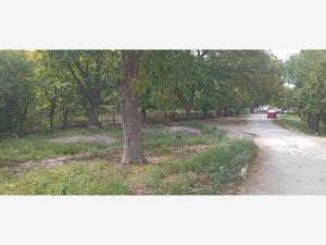Terreno en venta en Las Tres Lomas, Parras — foto 3 de 8
