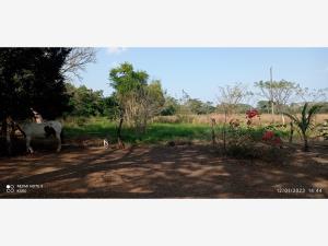 Finca-Rancho en venta en Salsipuedes, Medellín de Bravo — foto 2 de 27