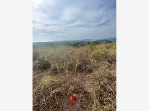 Terreno en venta en Agua Caliente Nueva, La Huerta — foto 2 de 6