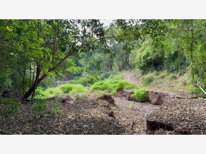 Terreno en venta en Agua Caliente Nueva, La Huerta — foto 3 de 6
