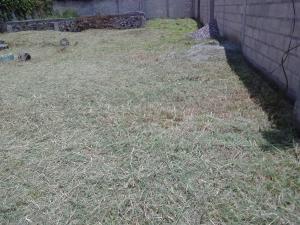 Terreno en venta en Miguel Hidalgo, Temixco — foto 2 de 5