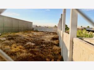 Terreno en renta en Miguel de la Madrid Hurtado, Gómez Palacio — foto 3 de 4