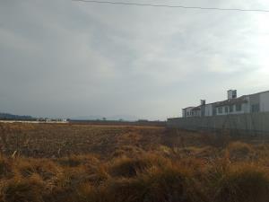 Terreno en venta en San Miguel Totocuitlapilco, Metepec — foto 3 de 3