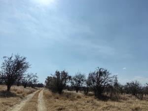 Terreno en renta en Real de Huejotzingo, Huejotzingo — foto 2 de 2