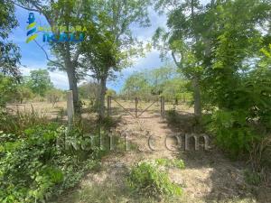 Terreno en venta en Juana Moza, Tuxpan — foto 2 de 14