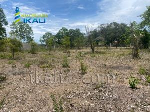 Terreno en venta en Juana Moza, Tuxpan — foto 3 de 14