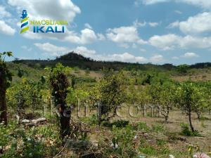 Terreno en venta en Carrizal, Papantla — foto 3 de 11