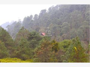 Terreno en venta en La Joya, Orizaba — foto 2 de 7