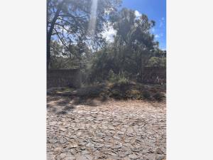 Terreno en venta en Pinar de la Venta, Zapopan — foto 2 de 12